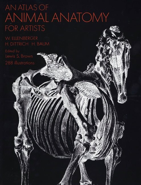Atlas of animal anatomy for artists
