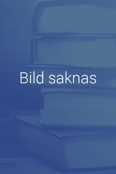 Brottsbalken Del III (25-38 kap.) : En kommentar