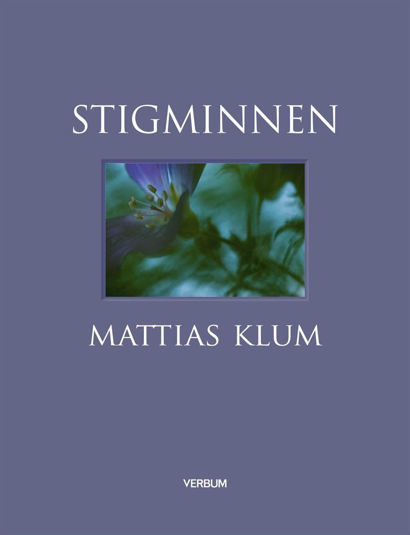 Stigminnen