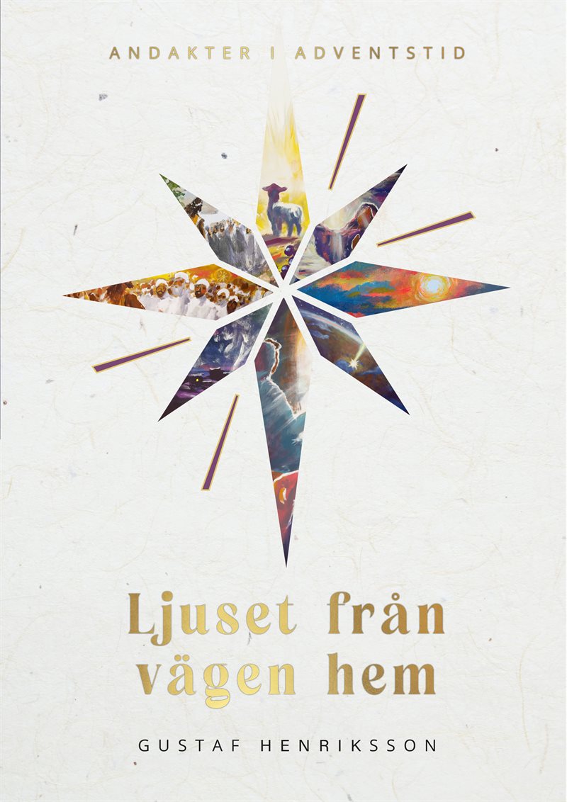 Ljuset från vägen hem : andakter i adventstid