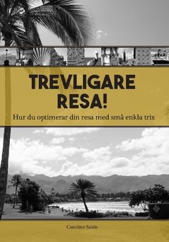 Trevligare resa : hur du optimerar din resa med små enkla trix