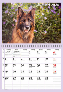 Kalender 2024 Hundar FSC