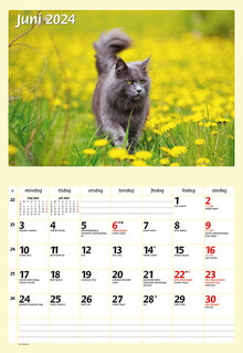 Kalender 2024 Katter FSC