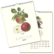 Väggkalender Äpplen 2024 328x405mm